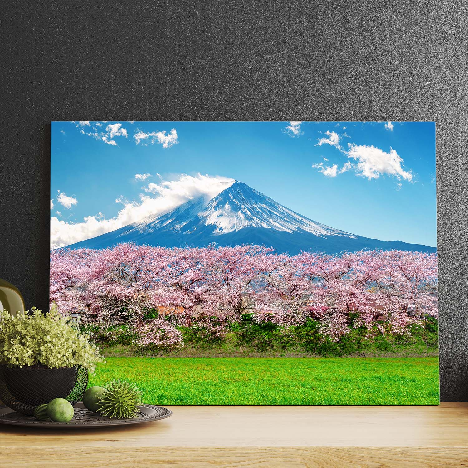 Hora Fuji a čerešňové kvety na jar, Japonsko prev