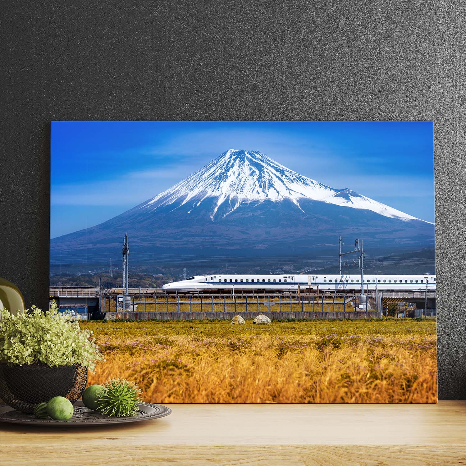 Hora Fuji a vlak, Japonsko prev